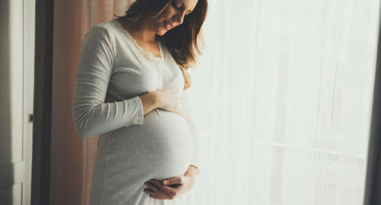 Surrogate mother cost in Georgia