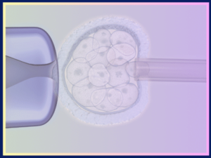 Best IVF Clinic in Georgia