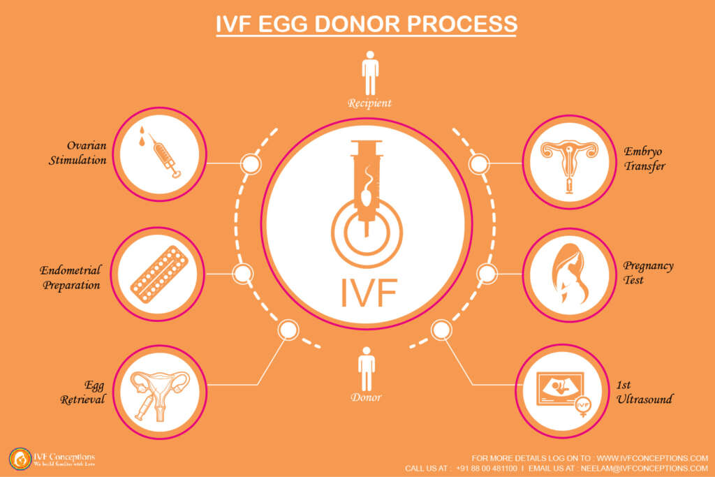 egg Donation Georgia