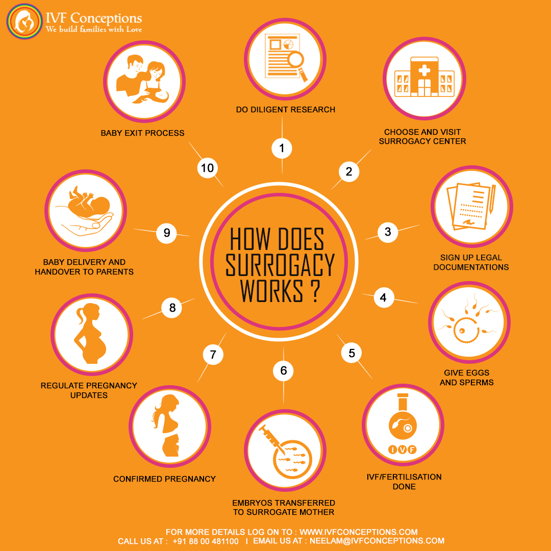 Surrogacy Process