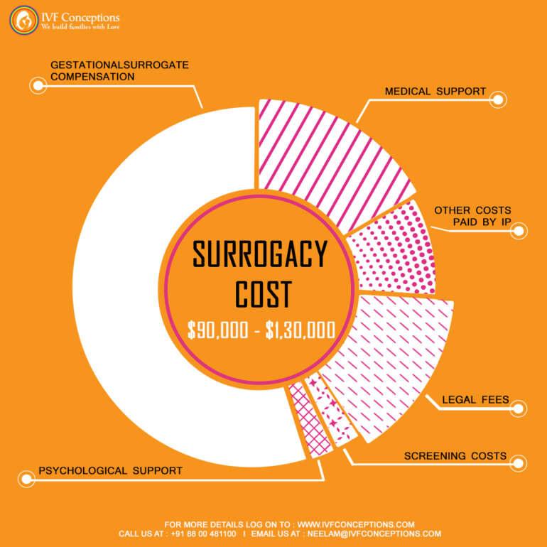 How Much Does Surrogacy Cost in Georgia Country