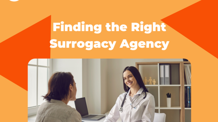 Finding the Right Surrogacy Agency