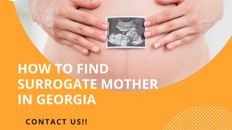 How to Find a Surrogate Mother in Georgia