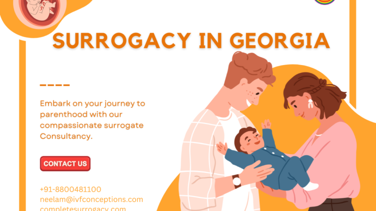 What is the Cost of Surrogacy in Tbilisi