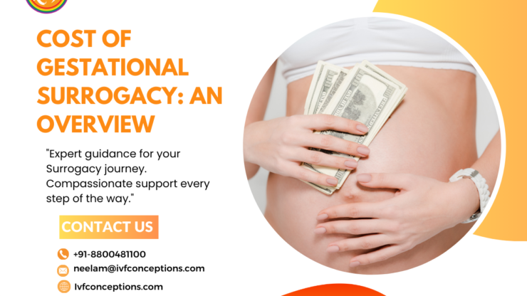 Cost of Gestational Surrogacy: An Overview