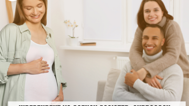 Independent vs Agency Assisted Surrogacy: Compare and Choose