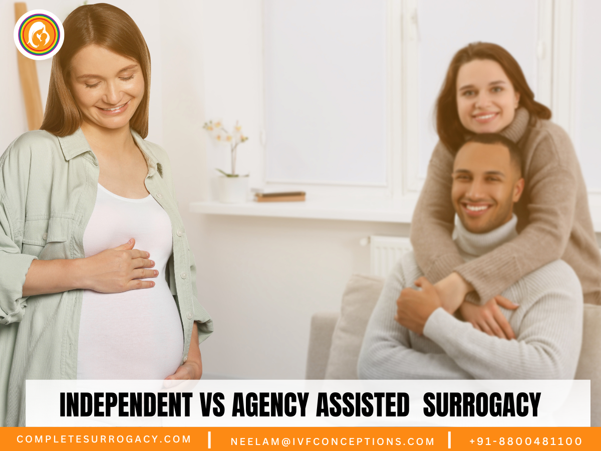 Independent vs Agency Assisted Surrogacy: Compare and Choose