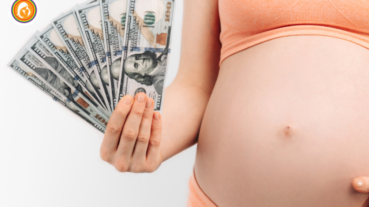 Why is Surrogacy So Expensive