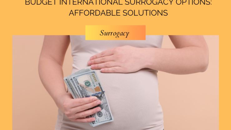 Budget International Surrogacy Options: Affordable Solutions