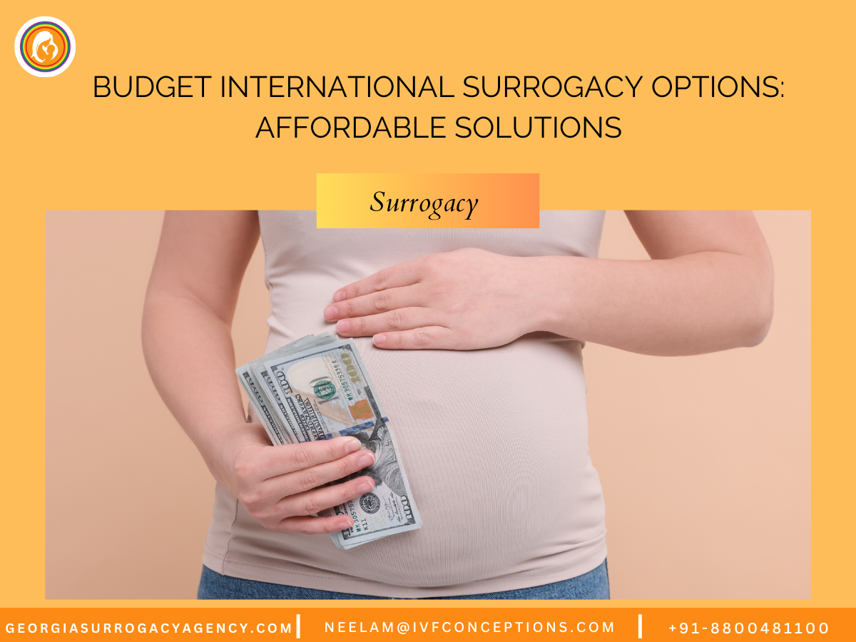 Budget International Surrogacy Options: Affordable Solutions