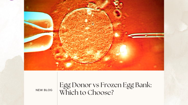 Egg Donor vs Frozen Egg Bank: Which to Choose?