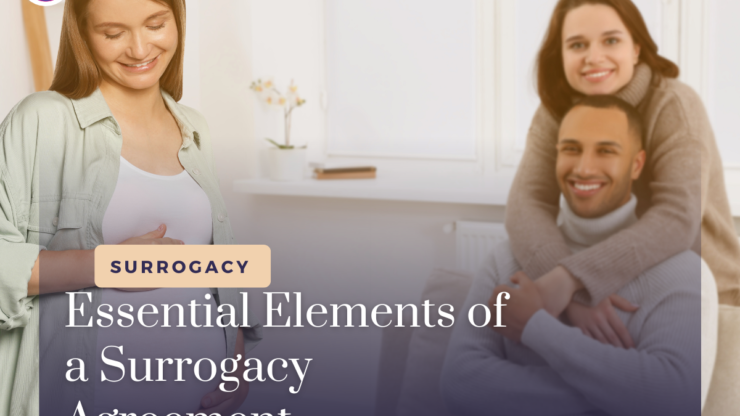 Elements of a Surrogacy Agreement: What You Need to Know