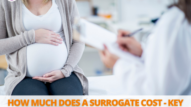 How Much Does a Surrogate Cost – Key Details Explained