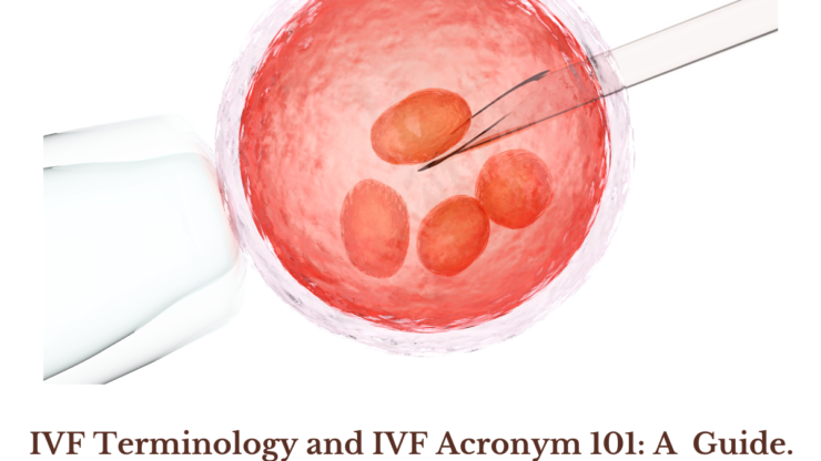 IVF Terminology and IVF Acronym 101: A Guide.