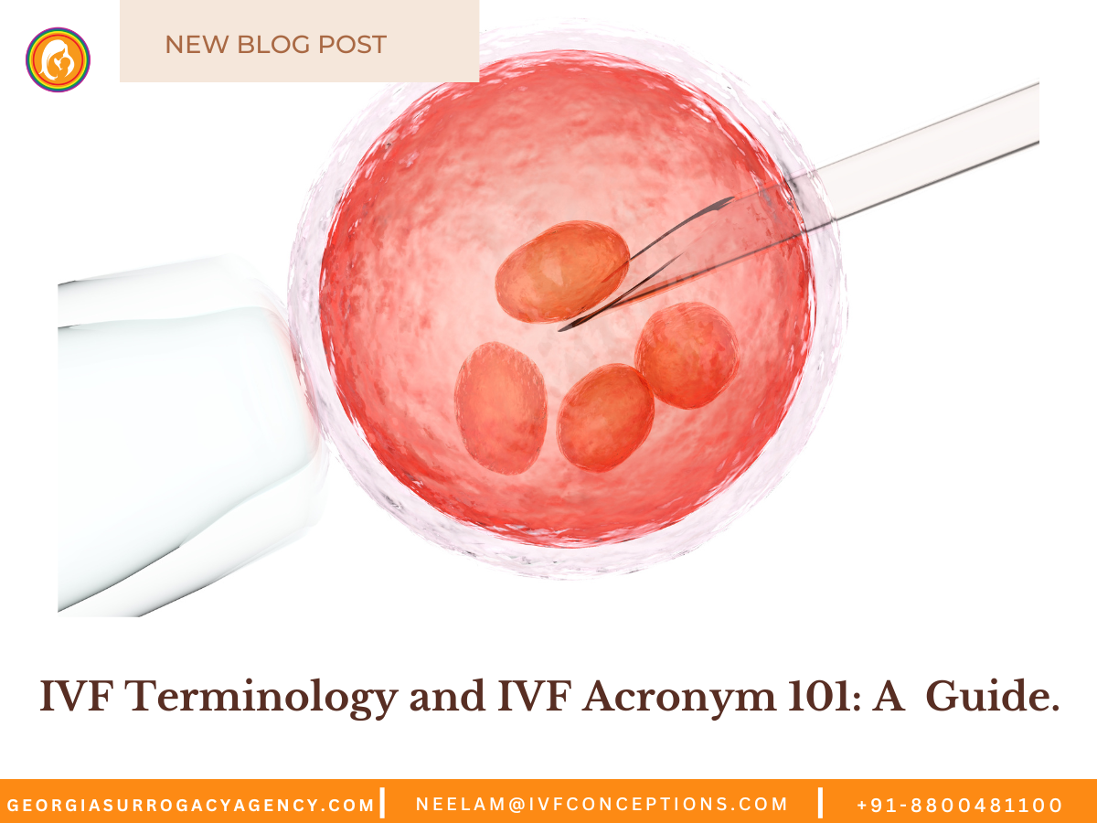 IVF Terminology and IVF Acronym 101: A Guide.