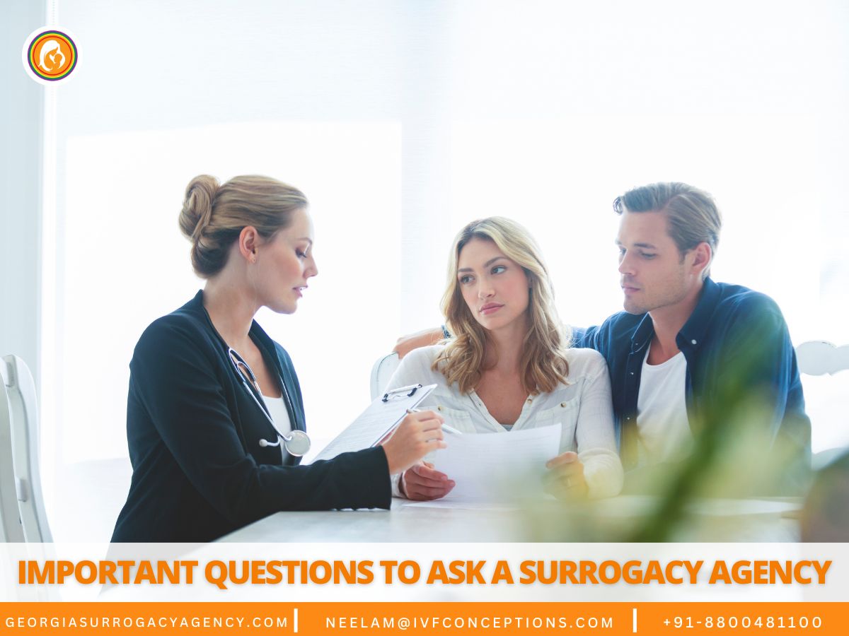 Important Questions to Ask a Surrogacy Agency