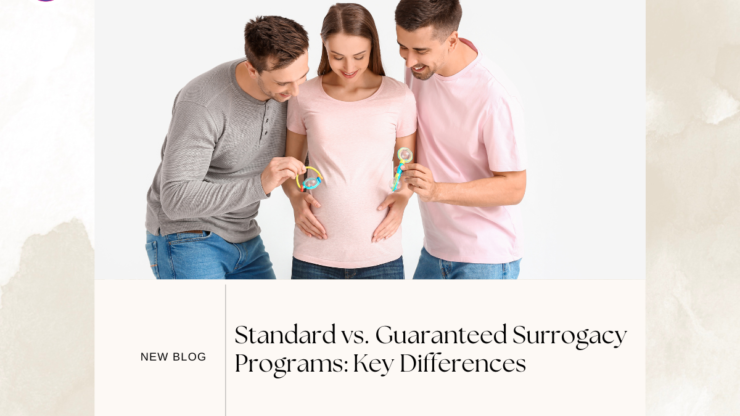 Standard vs. Guaranteed Surrogacy Programs: Key Differences