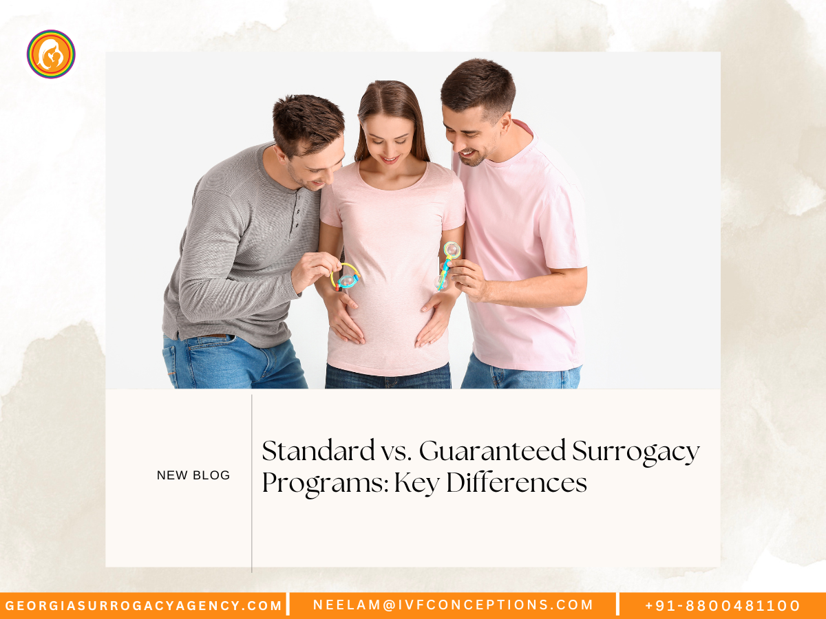 Standard vs. Guaranteed Surrogacy Programs: Key Differences