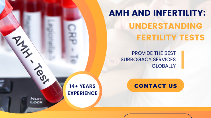 AMH and Infertility: Understanding Fertility Tests