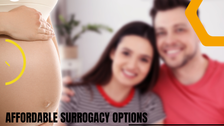 Affordable Surrogacy Options: What You Need to Know about Global Surrogacy Options