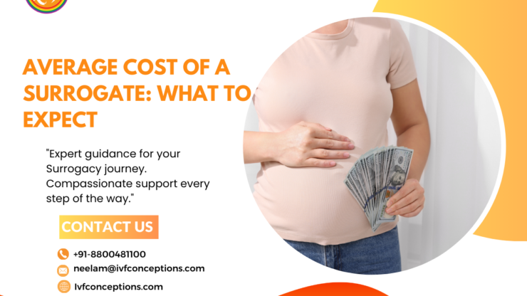 Average Cost of a Surrogate: What to Expect