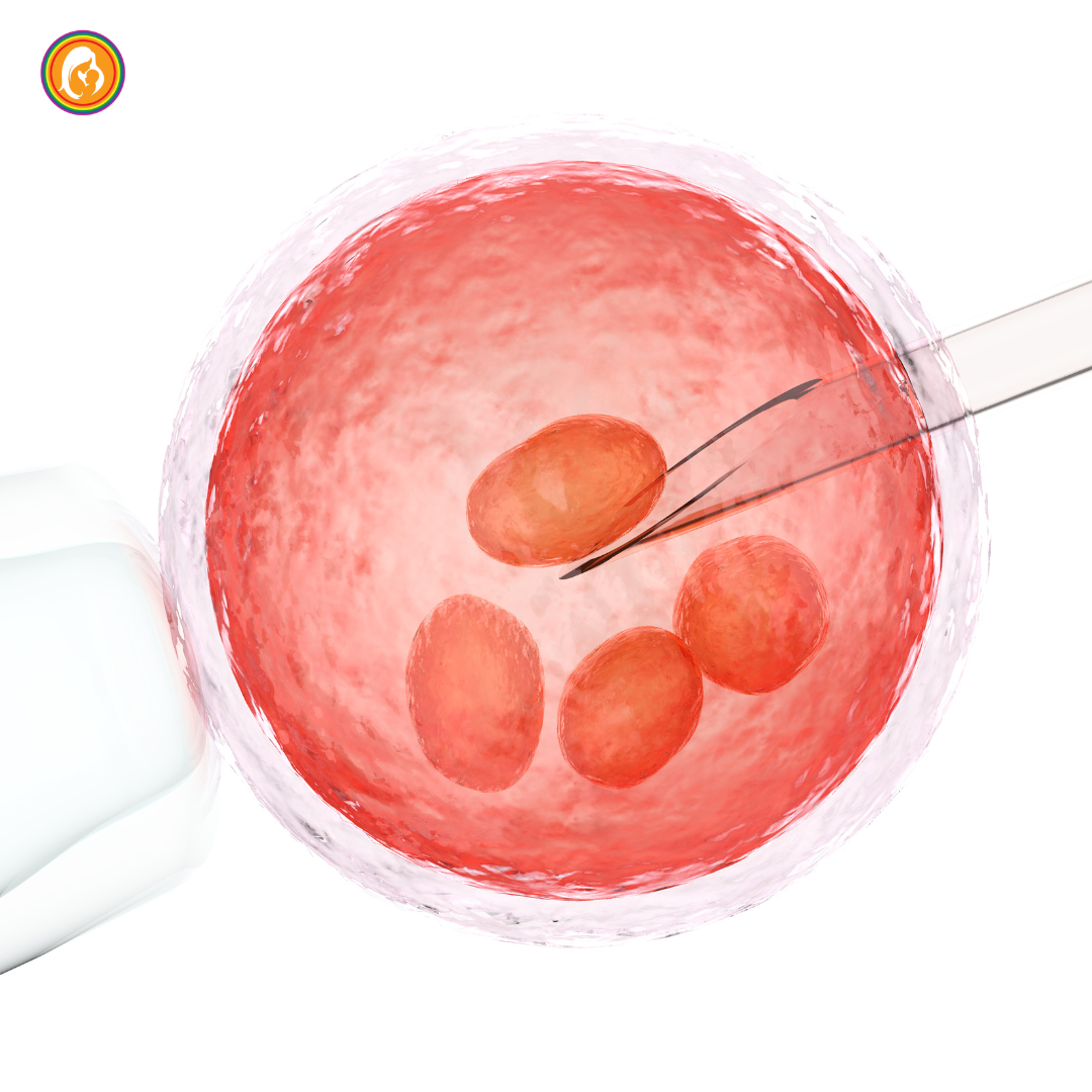 When to Choose Surrogacy Process