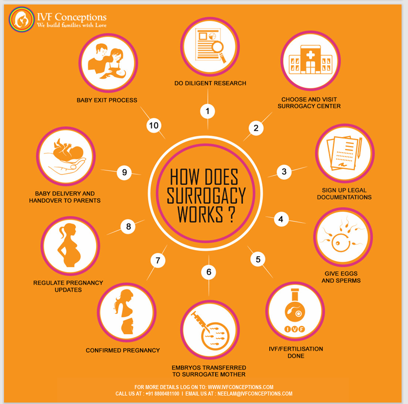 Surrogacy Process