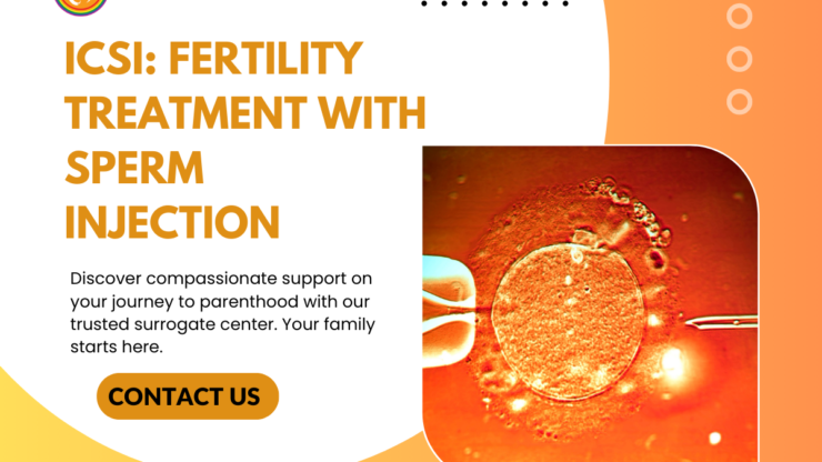 ICSI: Fertility Treatment with Sperm Injection