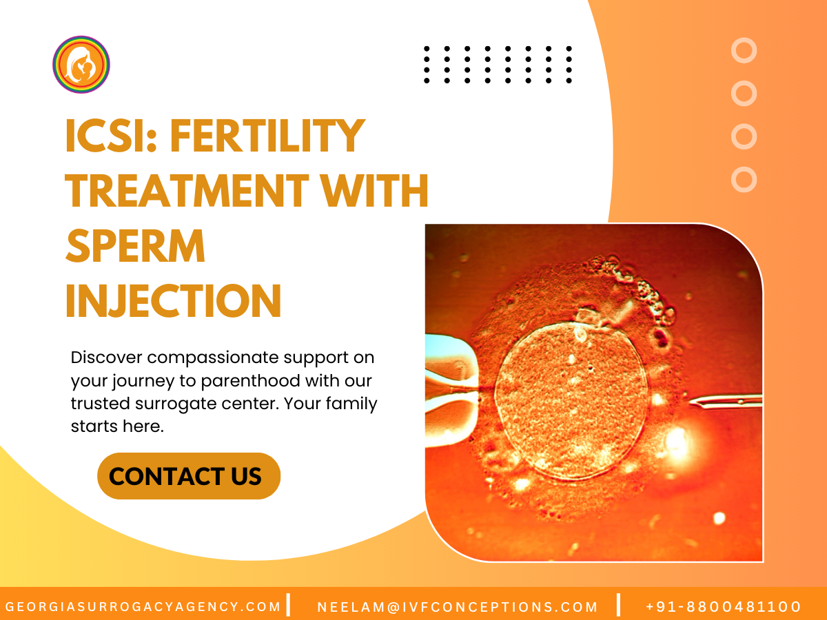 ICSI: Fertility Treatment with Sperm Injection