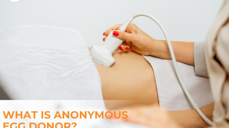 What is Anonymous Egg Donor?