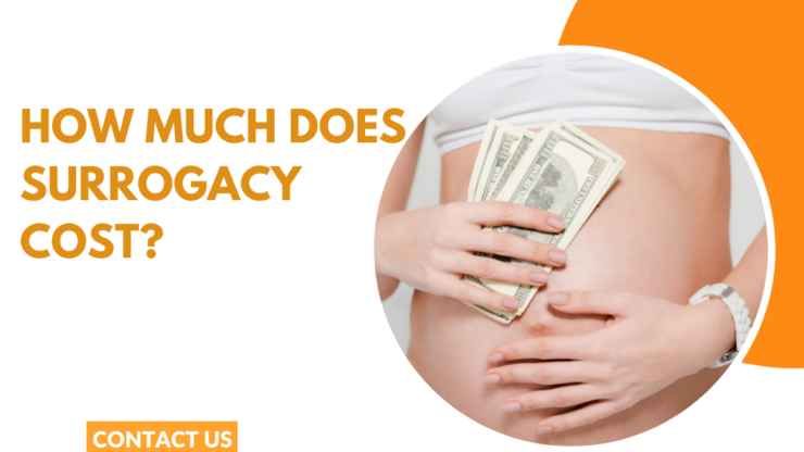 How Much Does Surrogacy Cost? A Detailed Cost Breakdown