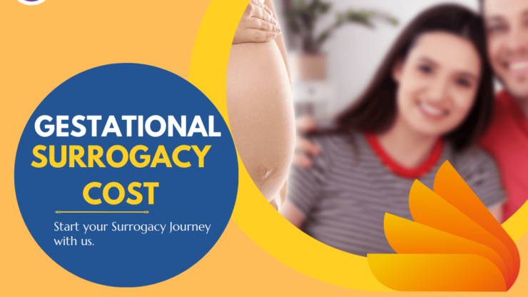 Gestational Surrogacy Cost: What to Expect