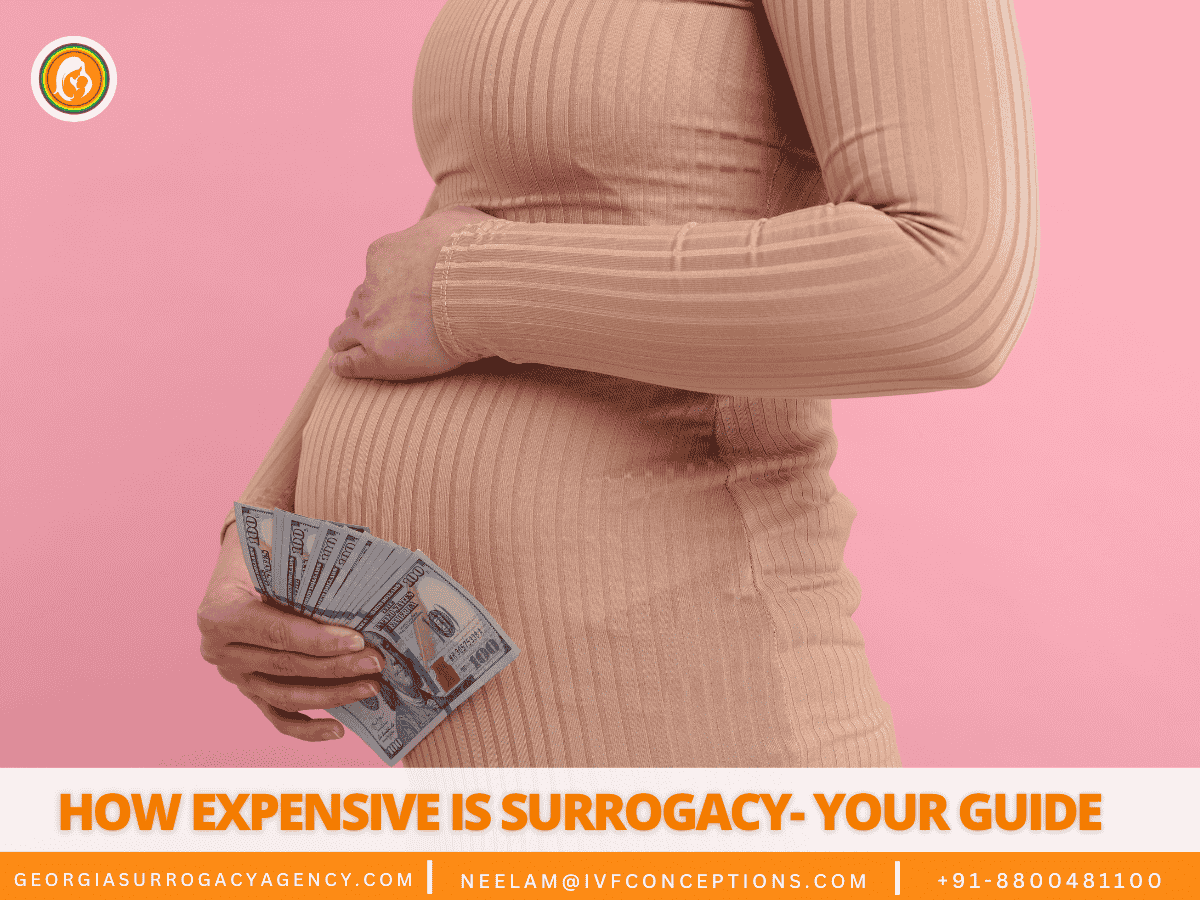 How Expensive is Surrogacy- Your Guide