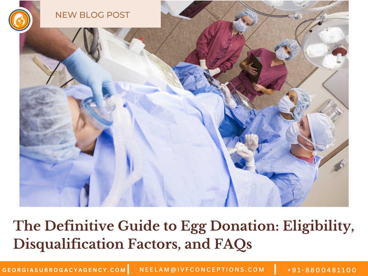 The Definitive Guide to Egg Donation: Eligibility, Disqualification Factors, and FAQs