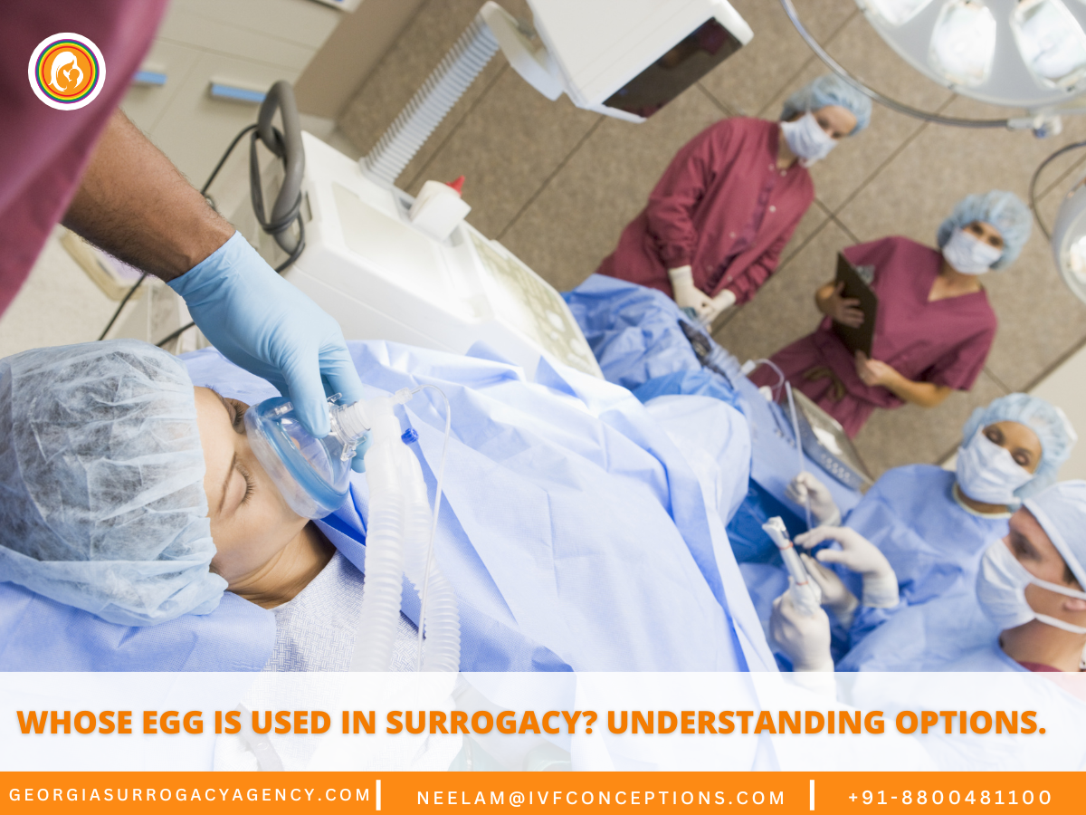 Whose Egg Is Used in Surrogacy? Understanding Options