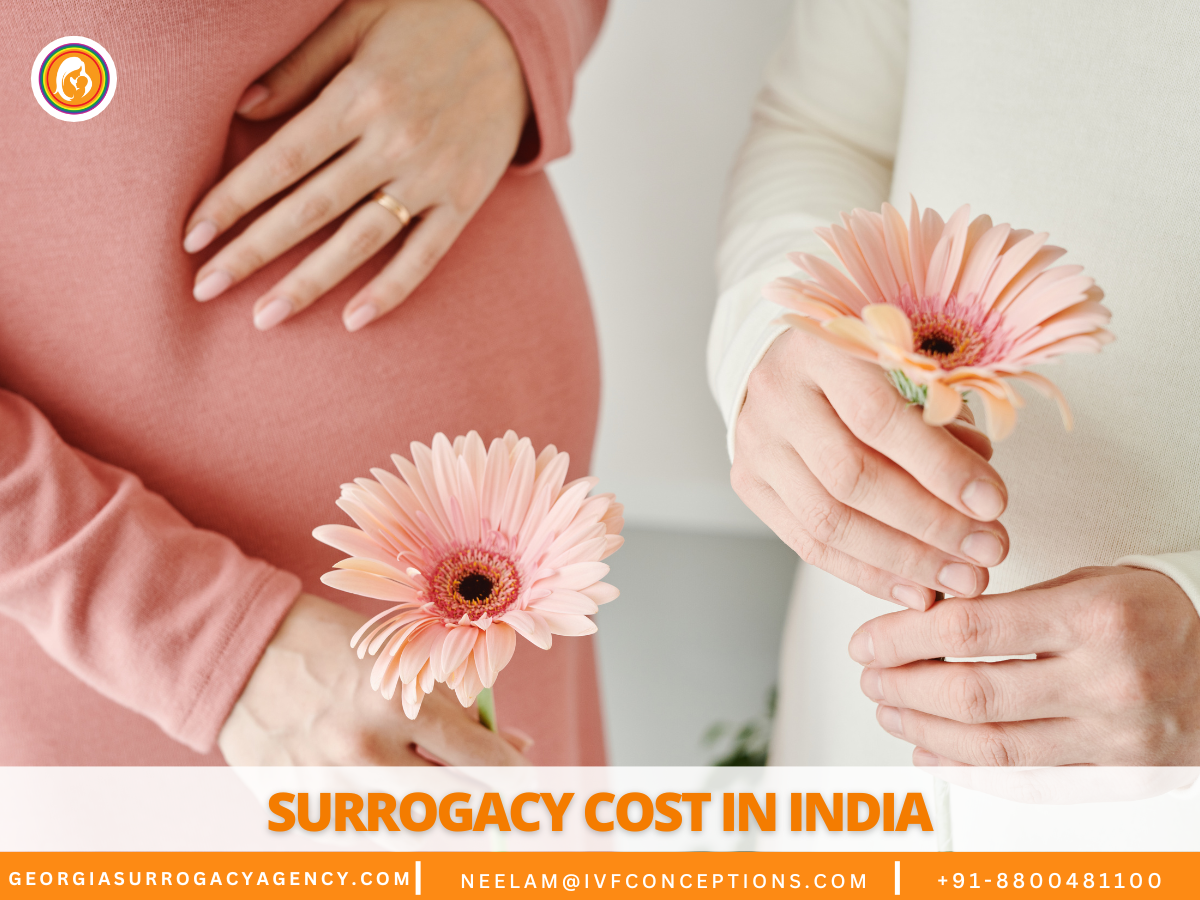 Surrogacy Cost in India: Affordable Options