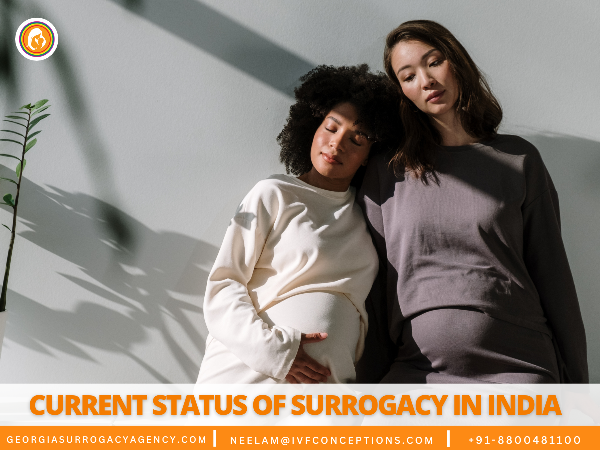 Current Status of Surrogacy in India:FAQs Answered