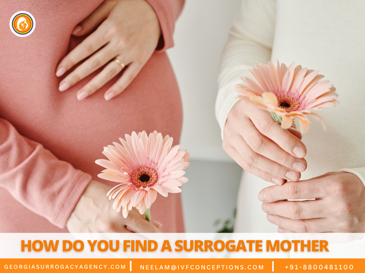 How Do You Find a Surrogate Mother | Expert Guide