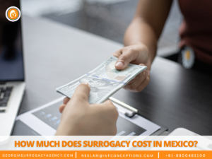 cost of surrogacy agency 