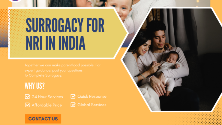 Surrogacy for NRI in India: Legal Guidelines, Cost & Alternatives