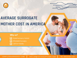 Average Surrogate Mother Cost in America (2025): A Complete Breakdown