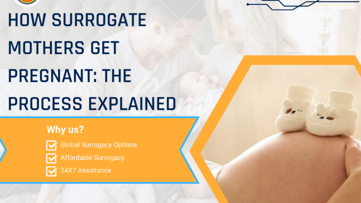 How Surrogate Mothers Get Pregnant: The Process Explained