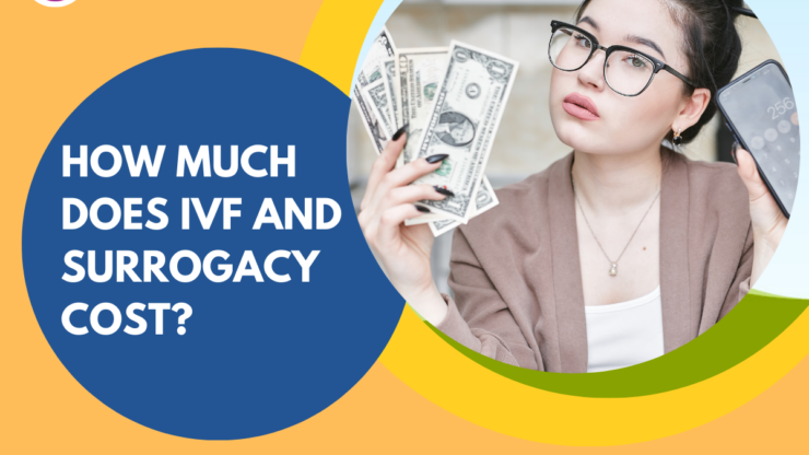 IVF and Surrogacy Costs Explained: 2025 Guide