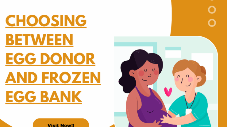 Choosing Between Fresh Egg Donation and Frozen Egg Bank