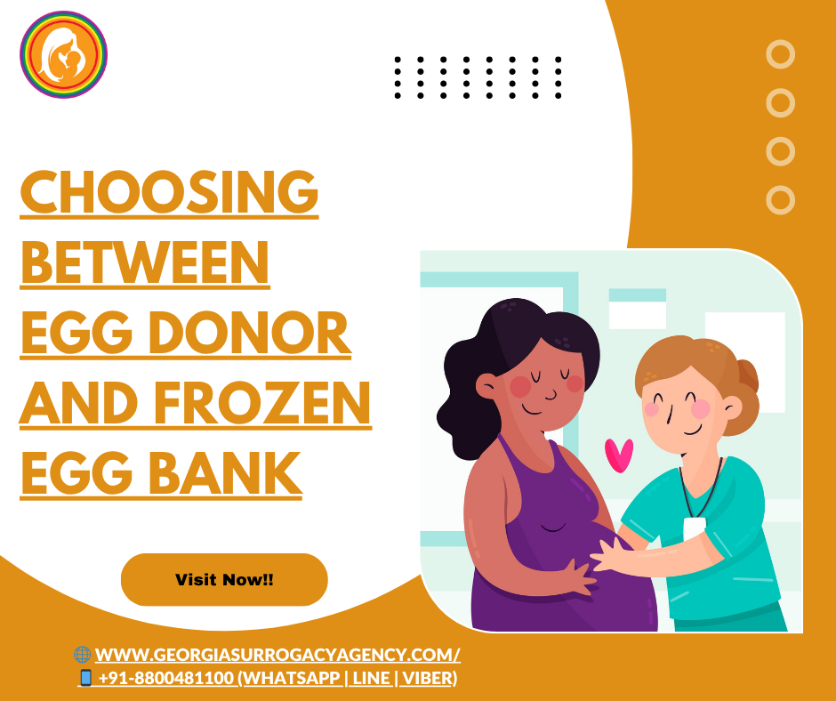 Choosing Between Fresh Egg Donation and Frozen Egg Bank