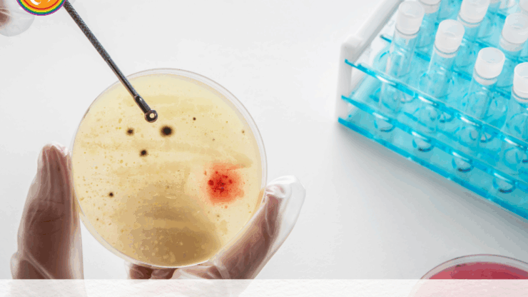 Best countries for Egg donor IVF