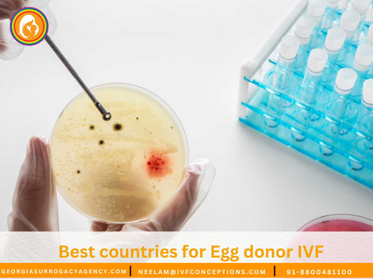 Best countries for Egg donor IVF