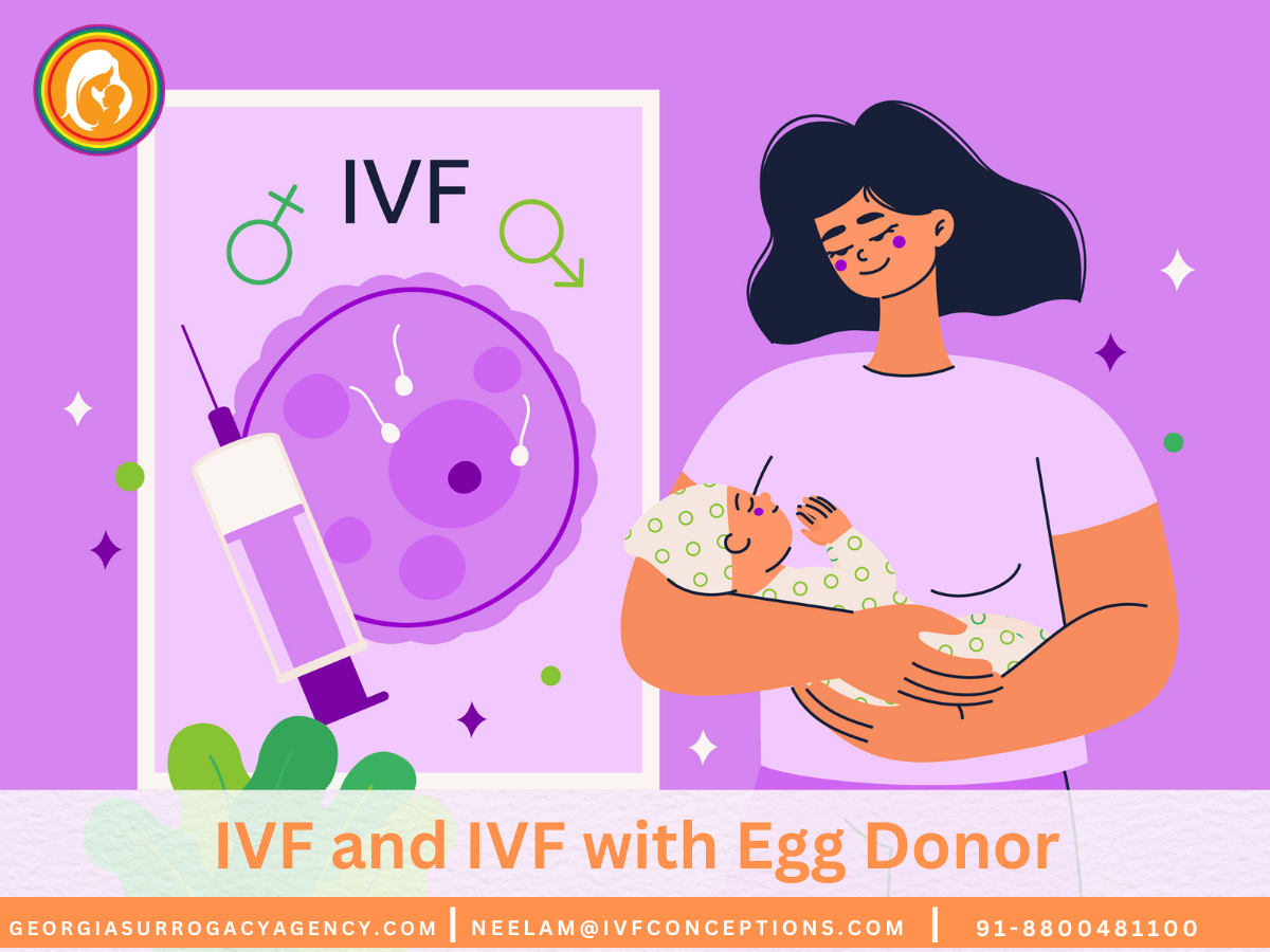 Comparing IVF and IVF with Egg Donor: Key Differences