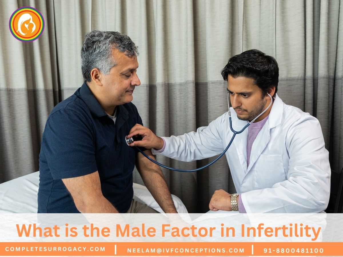 What is the Male Factor in Infertility? Answers Revealed