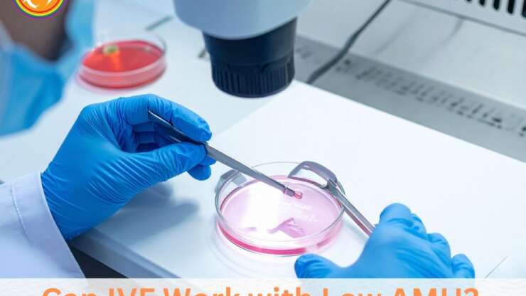 Can IVF Work with Low AMH? Success Rates and Treatment Options